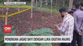 VIDEO: Penemuan Jasad Bayi Dengan Luka Gigitan Anjing