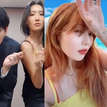 TikTok Hapus Akun Resmi Selebriti Korea, Ada Rain, Zico, hingga MAMAMOO