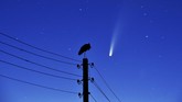 Nyalang Edisi 18 Juli 2020 A stork stands on a power lines pillar as the comet C/2020 F3 (NEOWISE) is seen in the sky above the village of Kreva, some 100 km northwest of Minsk, early on July 13, 2020. (Photo by Sergei GAPON / AFP)