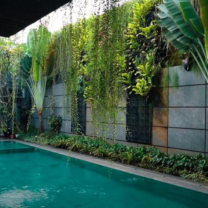 <p>Area kolam renang terlihat adem. Terdapat vertical garden yang ditumbuhi tanaman rambat, membuat suasana makin sejuk untuk bersantai. (Foto: YouTube Boy William)</p>