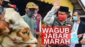 VIDEO: Wagub Jabar Marah di Pasar Hewan