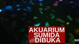 VIDEO: Akuarium Sumida Dibuka