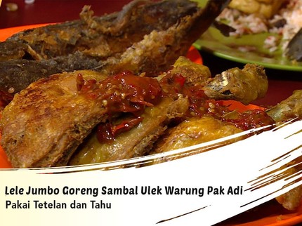 Lele Jumbo Goreng Sambal Ulek Warung Pak Adi, Krispi tapi Lembut di Dalam