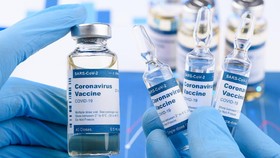 Hasil Awal Vaksin Corona Oxford: Picu Antibodi dalam 28 Hari