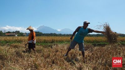 Pupuk Indonesia Perkuat Pendampingan Petani Lewat Program Rembuk Tani