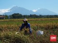 Upah Buruh Tani Naik Jadi Rp55.613 pada Juli 2020