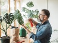 Mengenal Monstera, Tanaman Hias Kekinian Berdaun Unik
