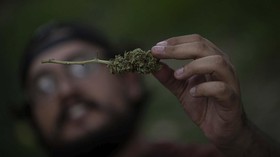 DPR AS Setuju UU Dekriminalisasi Ganja di Tingkat Federal