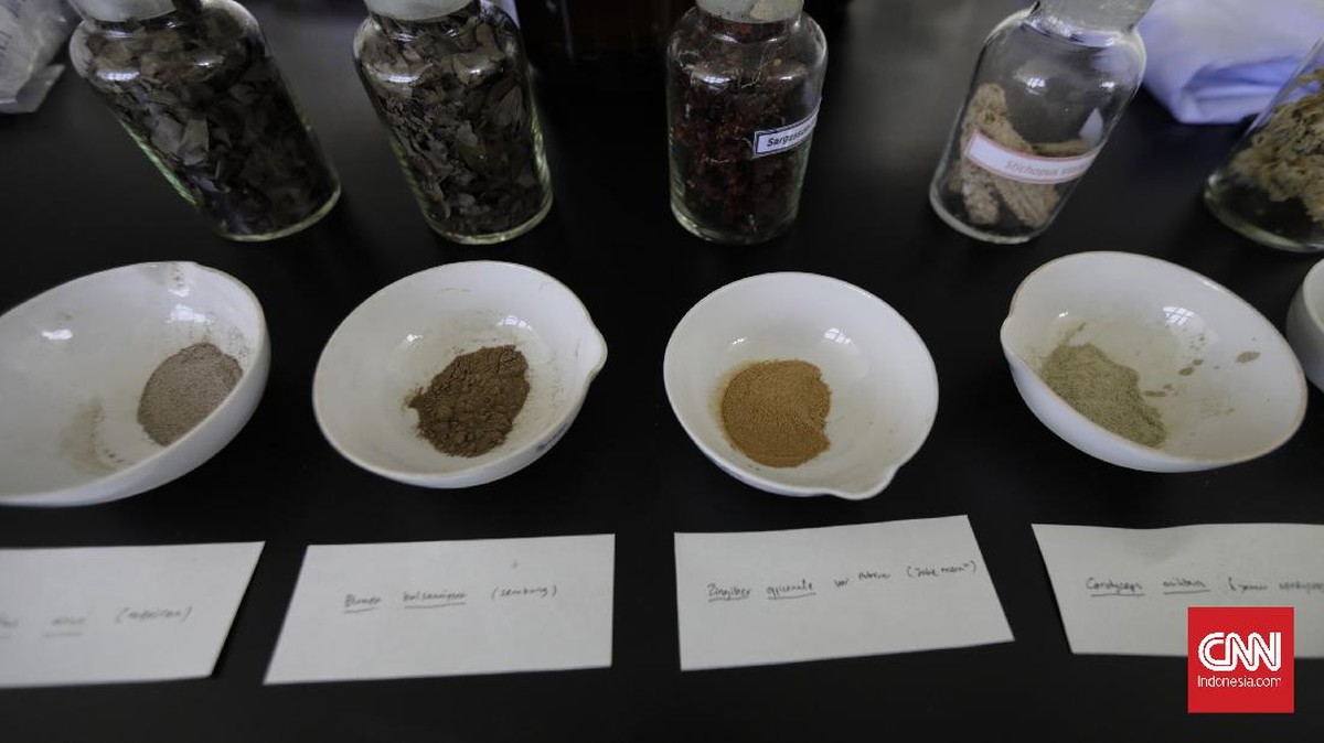 FOTO: Penelitian Imunomodulator Herbal Covid-19 di Indonesia