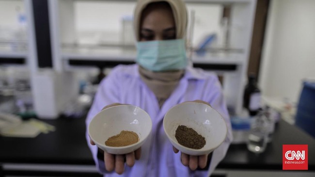FOTO: Penelitian Imunomodulator Herbal Covid-19 di Indonesia