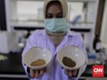 Mengenal Imunomodulator dan Manfaatnya untuk Sistem Imun