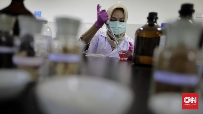 Uji klinis kandidat imunomodulator suplemen herbal untuk corona memasuki tahap akhir. Peneliti bakal merampungkan pengujian terhadap 18 partisipan tersisa.