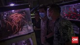 Penjualan Ikan Hias Suasana jual beli ikan hias di Pasar Ikan Hias Sumenep, Jakarta, Jumat, 17 Juli 2020. Selama pandemi corona ekspor ikan hias Indonesia anjlok 24,7 persen atau hanya USD 6,41 juta. Jumlah tersebut berdasarkan catatan Dewan Ikan Hias Indonesia (DIHI) selama periode kuartal I 2020 dibanding periode sama pada tahun sebelumnya. CNN Indonesia/Bisma Septalisma