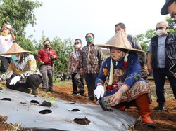 Kemnaker-Pemkab Bandung Barat Jalin Kerja Sama Padat Karya Pertanian