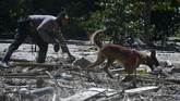 Pencarian Korban Banjir Bandang Luwu Utara Anggota Kepolisian bersama anjing pelacak mencari korban yang tertimbun material lumpur banjir bandang di Desa Radda, Kabupaten Luwu Utara, Sulawesi Selatan, Minggu (19/7/2020). Sebanyak dua anjing pelacak dikerahkan guna mencari korban yang masih tertimbun material lumbur akibat diterjang banjir bandang. ANTARA FOTO/Abriawan Abhe/foc.