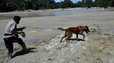 Pencarian Korban Banjir Bandang Luwu Utara Anggota Kepolisian bersama anjing pelacak mencari korban yang tertimbun material lumpur banjir bandang di Desa Radda, Kabupaten Luwu Utara, Sulawesi Selatan, Minggu (19/7/2020). Sebanyak dua anjing pelacak dikerahkan guna mencari korban yang masih tertimbun material lumbur akibat diterjang banjir bandang. ANTARA FOTO/Abriawan Abhe/foc.