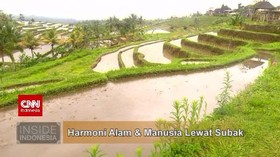 VIDEO: Harmoni Alam dan Manusia Lewat Subak