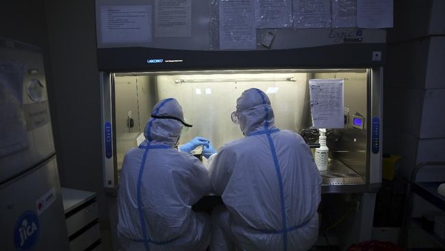 Studi di Islandia menemukan tingkat antibodi virus corona setidaknya bisa stabil selama empat bulan setelah diagnosis.