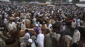 FOTO: Upaya Pakistan Menjinakkan Covid-19 Jelang Idul Adha