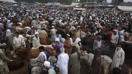 FOTO: Upaya Pakistan Menjinakkan Covid-19 Jelang Idul Adha
