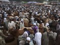 FOTO: Upaya Pakistan Menjinakkan Covid-19 Jelang Idul Adha