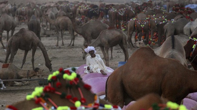 FOTO: Upaya Pakistan Menjinakkan Covid-19 Jelang Idul Adha