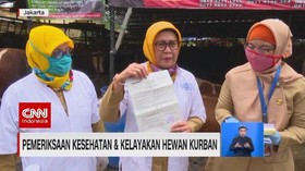 VIDEO: Pemeriksaan Kesehatan & Kelayakan Hewan Kurban