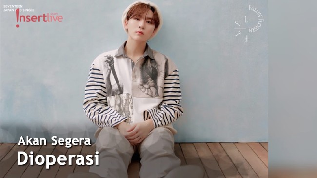 Seungkwan Seventeen Cedera, Terpaksa Vakum dari Grup