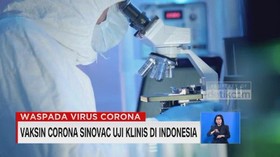 VIDEO: Vaksin Corona Sinovac Uji Klinis di Indonesia
