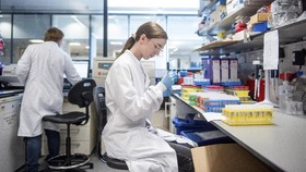 Vaksin AstraZeneca-Oxford Klaim 70 Persen Ampuh Lawan Corona