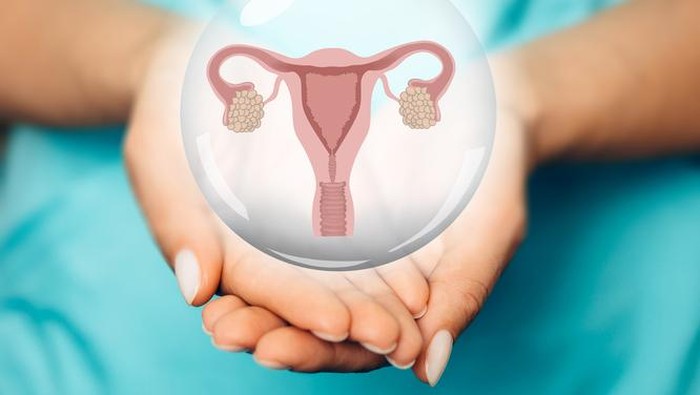 img-title 4 Penyebab Gangguan Kista pada Perempuan, Kenali Sebelum Terlambat!