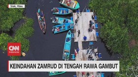 VIDEO: Keindahan Zamrud di Tengah Rawa Garut