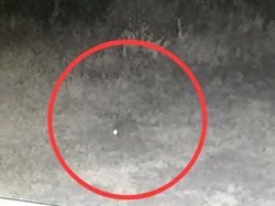 Video Penampakan Makhluk Diduga Pengisap Darah Ternak di Taput