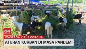 VIDEO: Risma Keluarkan Aturan Kurban di Masa Pandemi Covid-19