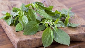 Manfaat Daun Kemangi, Meredakan Stres sampai Melawan Kanker