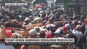 VIDEO: Jelang Iduladha, Pasar Hewan Ambarawa Ramai Pengunjung