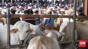 Penyakit Mulut dan Kuku Reda, Pasar Hewan di Bali Dibuka Lagi