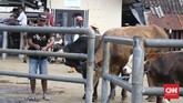 FOTO : Pasar Hewan Ambarawa Tak Takut Corona Pasar Hewan Ambarawa di Jawa Tengah tetap ramai di masa pandemi. Namun tak ada penerapan protokol kesehatan di sini.