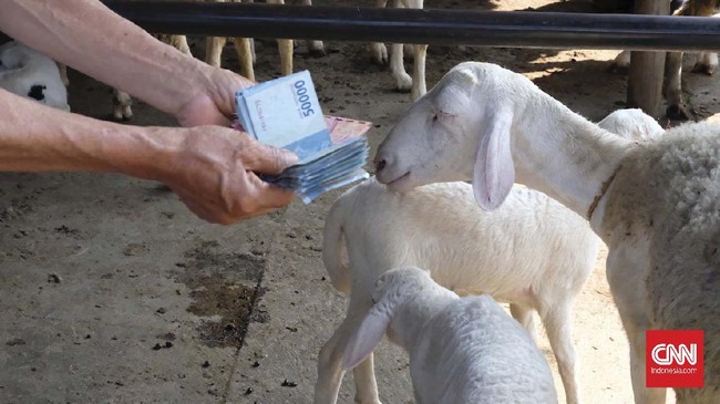 FOTO : Pasar Hewan Ambarawa Tak Takut Corona