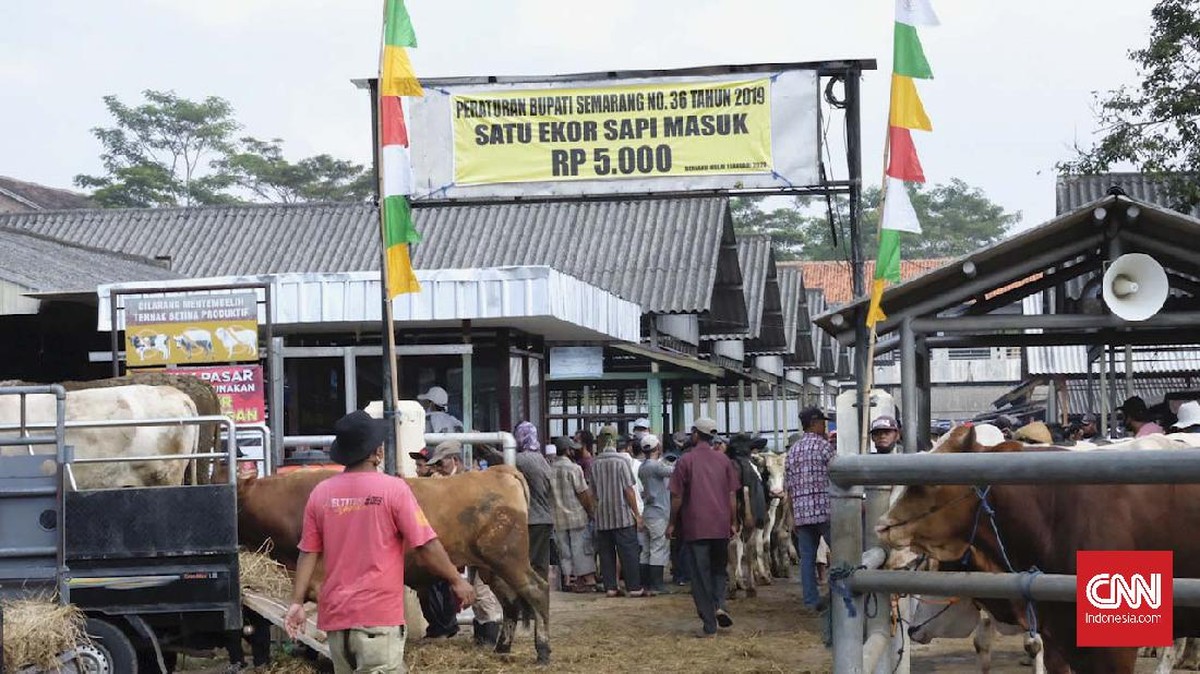 FOTO : Pasar Hewan Ambarawa Tak Takut Corona