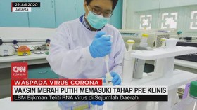 VIDEO: Vaksin Corona Merah Putih Memasuki Tahap Pre Klinis