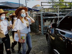 Bak Dealer Mobil, Beli Sapi Kurban di Sini Dilayani SPG Cantik