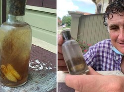 Seram! Bartender Ini Temukan Botol Berisi Air dan Gigi Misterius