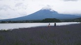 FOTO: Wisata Jepang Merangkak di Tengah Pandemi Corona Pandemi virus corona ikut menampar sektor pariwisata Jepang yang biasanya mendulang puluhan juta kedatangan wisatawan mancanegara setiap tahunnya.