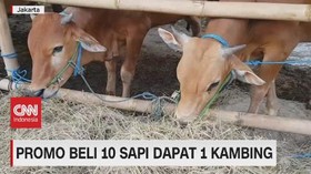 VIDEO: Beragam Promo Hewan Kurban Demi Menarik Pembeli