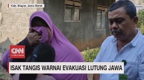 VIDEO: Isak Tangis Warnai Evakuasi Lutung Jawa