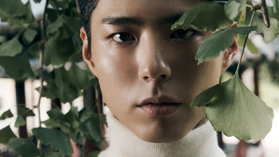 Park Bo Gum