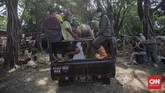 FOTO: Geliat Penjualan Hewan Kurban Saat Pandemi Wabah Covid-19 yang menyerang Indonesia sejak Maret lalu berdampak bagi berbagai sektor usaha, salah satunya penjualan hewan kurban.