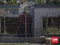 Antara Ibadah Kurban dan Sedekah ke Tetangga Terdampak Corona