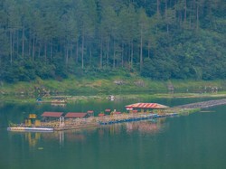 5 Wisata Telaga di Dieng, Cocok untuk Healing, Jeda Sejenak dari Hiruk Pikuk!